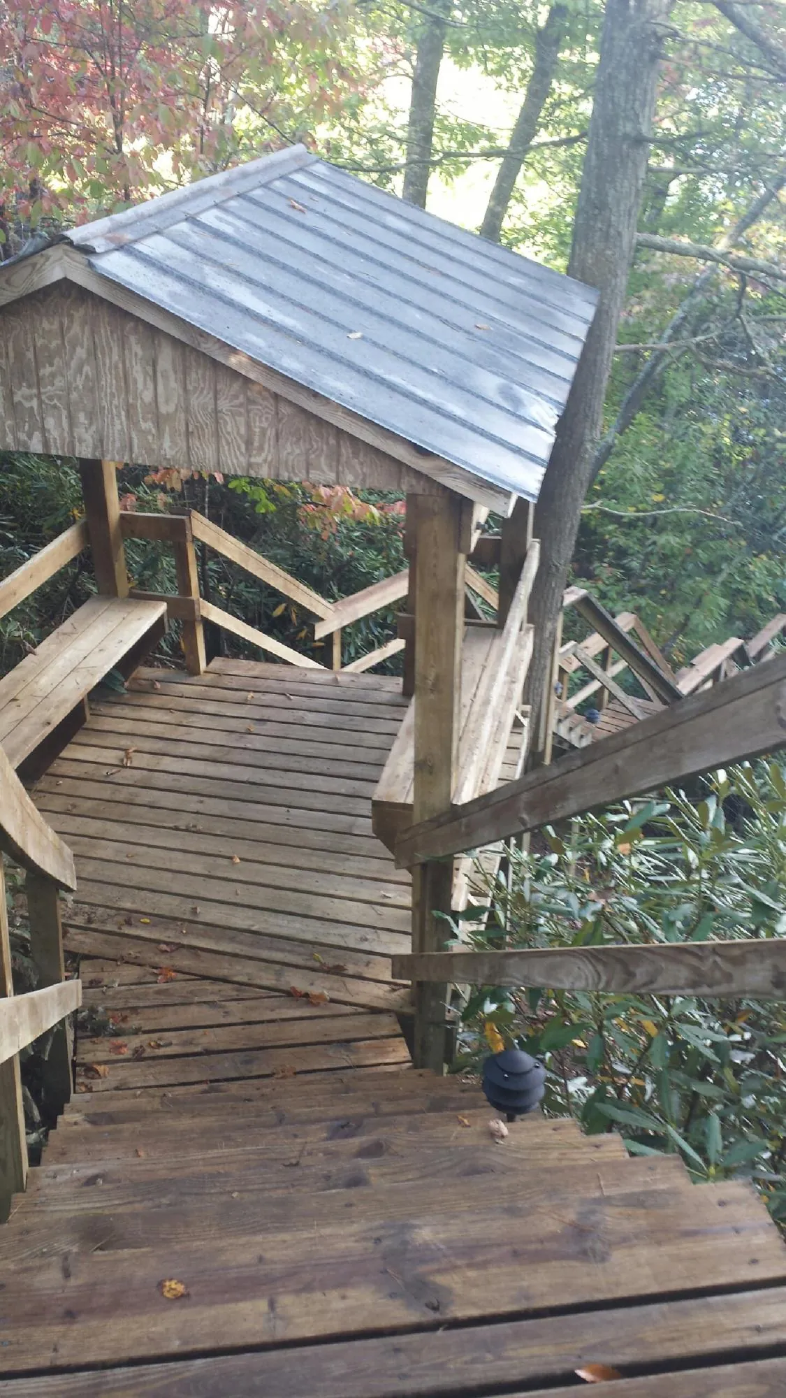 Metal roofed shelter over wooden steps on a wooded walkway — Skylight Repair & Installation work by our crew in Ellabell