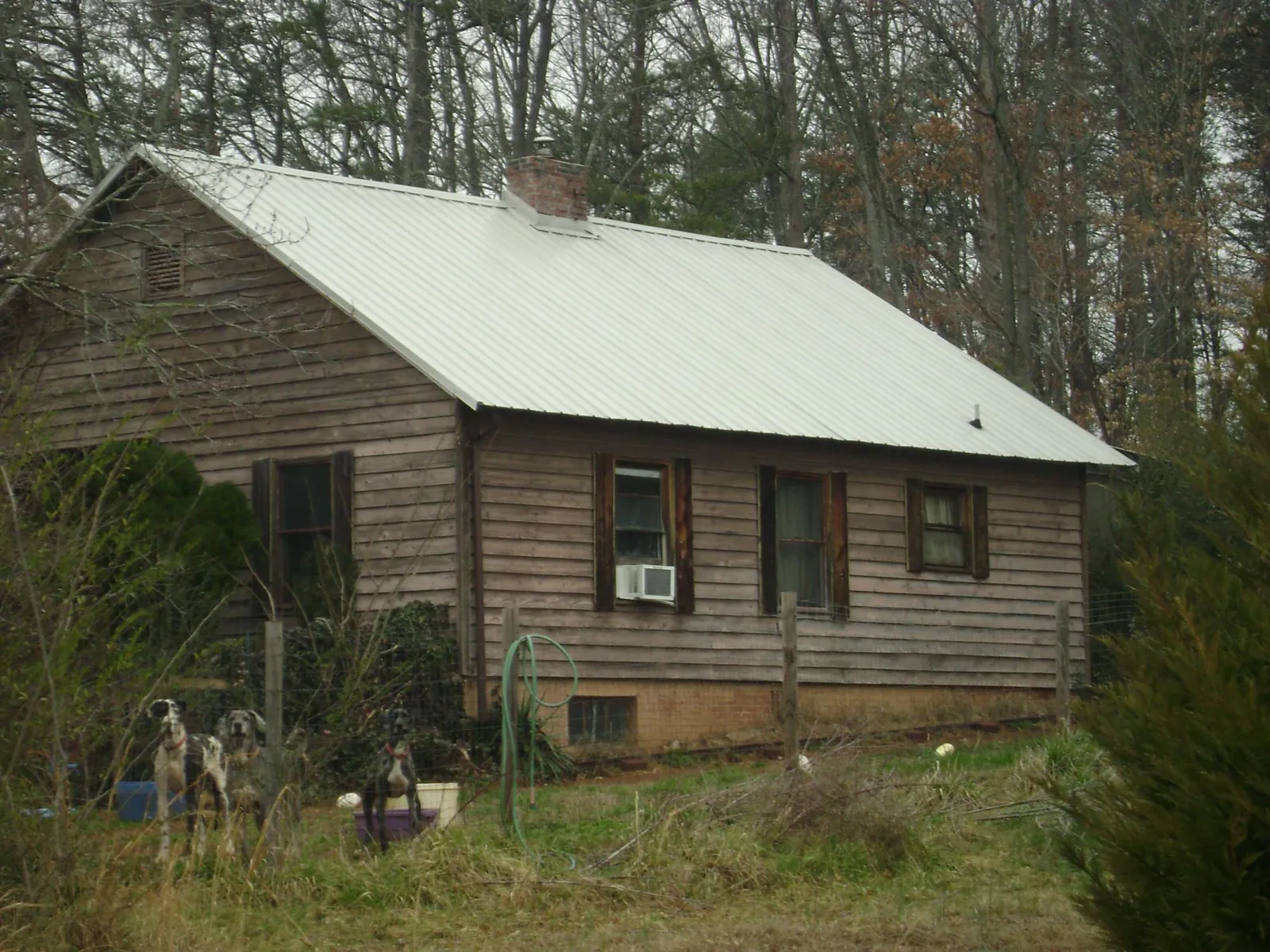 White metal roof on an old wood sided farmhouse, from a Metal Roof Installation job in Ellabell